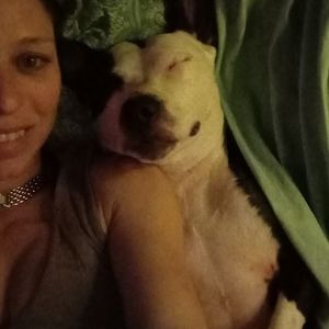 Meet your Posher, Rose